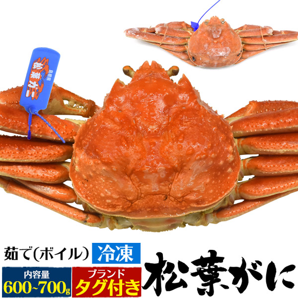 送料無料【 茹で冷凍 松葉ガニ 600~700g 】1~2杯 ボイル冷凍 ズワイガニ 産地証明タグ付き 山陰境港水揚げ 境港産 国産 贈り物 ギフト お取り寄せ 通販 送料込み 松葉蟹 松葉がに かに カニ ずわいがに ブランド松葉ガニ まつばがに 釜茹で 鳥取県 島根県 一杯 2杯【H】