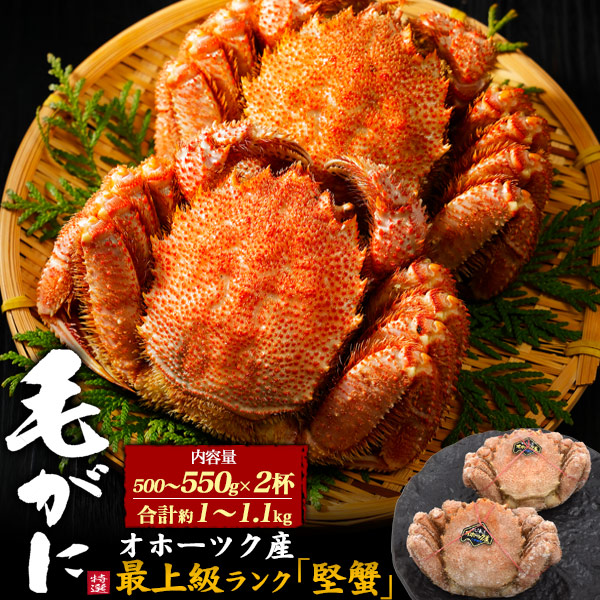 送料無料【 北海道オホーツク産最高級毛ガニ 2杯セット （合計約1kg～1.1kg） 】最上級ランク「堅蟹」 約500～550g×2杯セット 急速冷凍 毛蟹 毛がに かに カニ かにみそ 蟹味噌 北海道 贈り物 ギフト お取り寄せ 通販 送料込み 短冊熨斗対応 のし 1匹 2匹