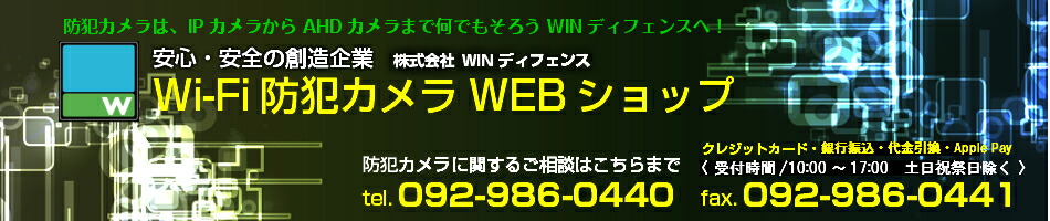 NSS 防犯カメラ 防水暗視ネットワークエコノミーカメラ+spbgp44.ru