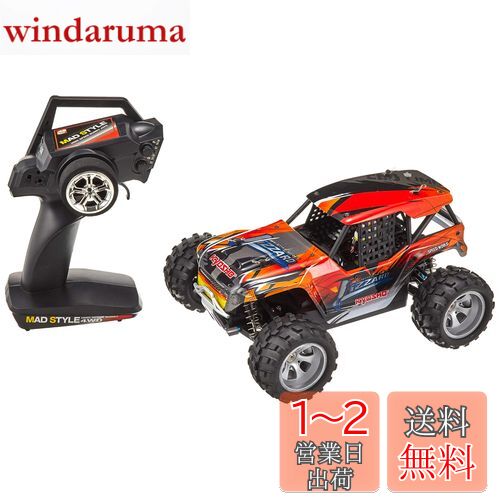 RC1/16スケール マッドスタイルシリーズ リザード