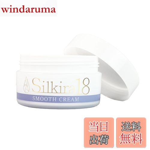 シリカ100プラス 100ml 珪素原液 硅素 シリカ100プラス 100ml 珪素原液 硅素 導入美容液 ケイ素 シリカ