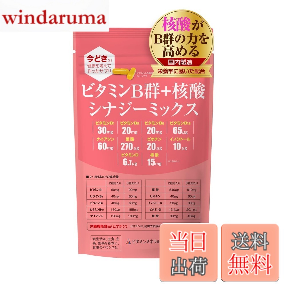【送料無料】ビタミンB群+核酸 シナジーミックス サイズ:1袋