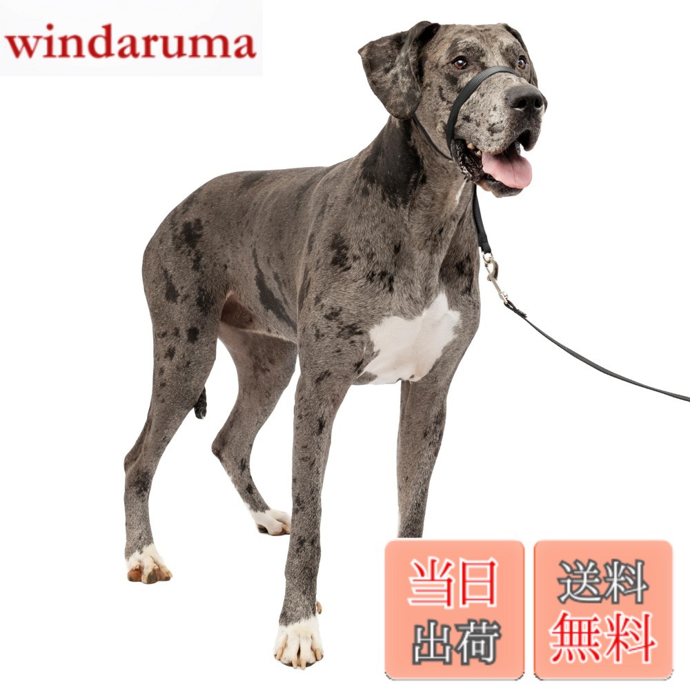 【送料無料】PetSafe(ペットセーフ) ジェントルリーダー 引っ張り防止 ヘッドカラー 犬用 散歩トレーニング 色:ブラック、サイズ:XLサイズ (x 1)
