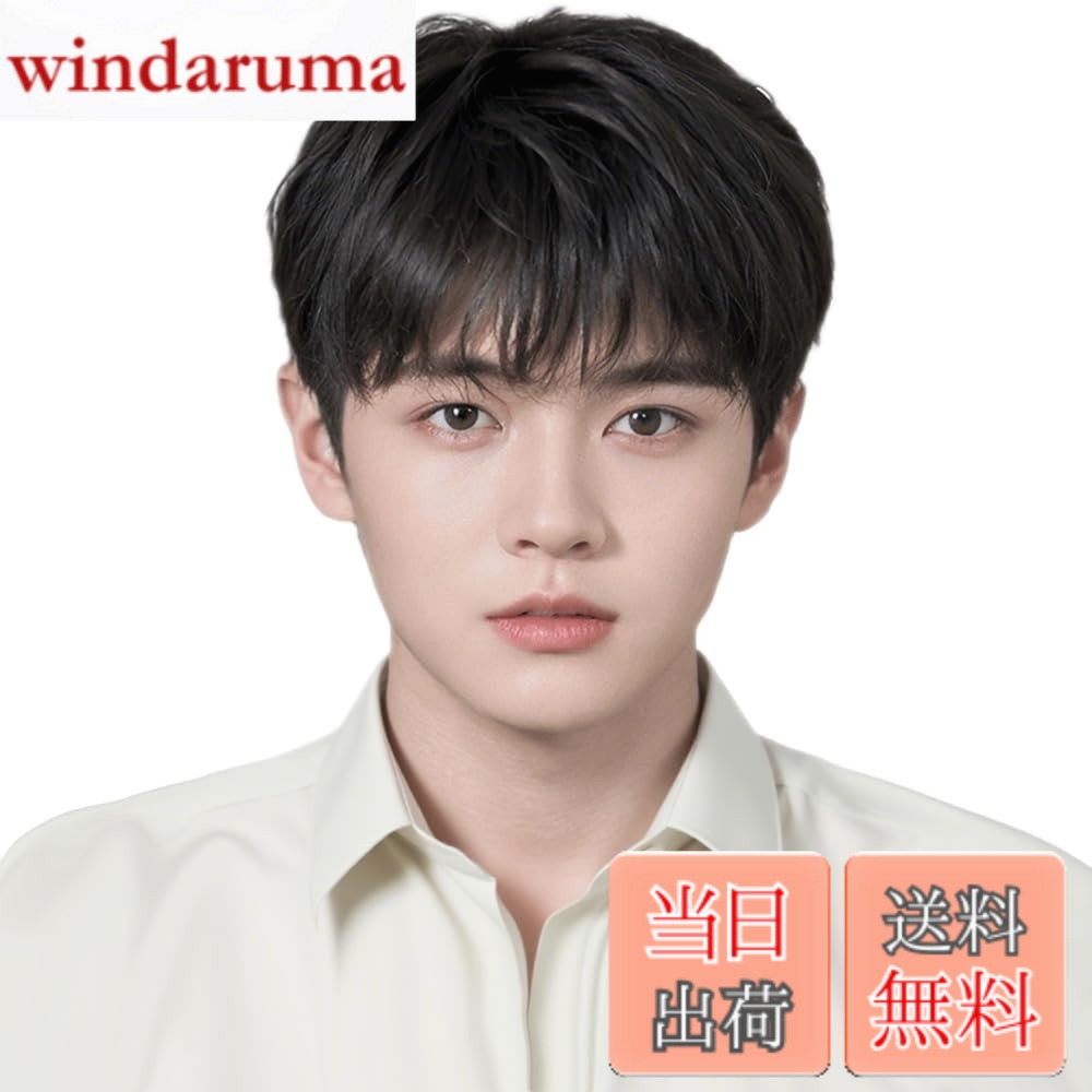 【貨物輸送無料】メンズウィッグ 中高年 遊撃手 人毛100% 手植え 成人男性用 ウイッグ 心地よい ウィッグ メンズ バレない お座敷 L 大きさ選りわける能力のある 通気 商行為 色：表現スタイル02-自然的黒いこと、大きさ：L