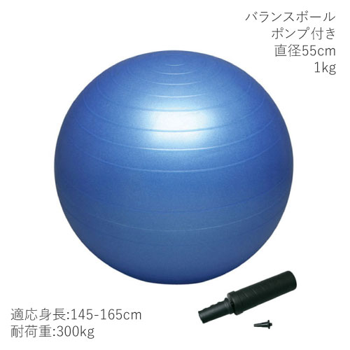 【メーカー取寄せ商品】ハタ　バランスボールセイフティー55 ポンプ付き（DB55P）※直径55cm ボディケアグッズ