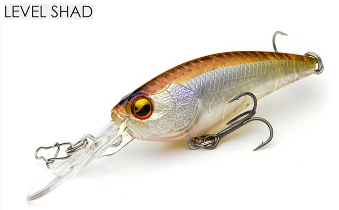 楽天市場】【全20色】レイドジャパン レベルシャッド RAID JAPAN