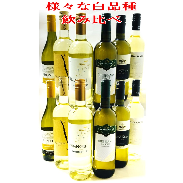 Ｖｏｌ,３　店長一押し！ 安旨白ワイン12本セット （ドーニャテレサ、ルポネロ、グラディウム テラノブレＳＢ、デルスールCH、コノスルCH ) ｘ２ ワインセット【送料無料　一部除く】 ss
