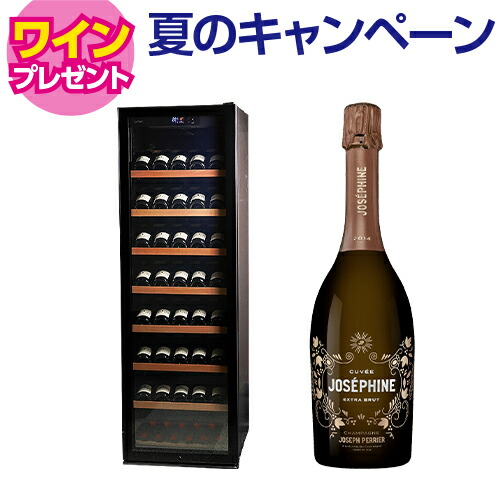 ワイン付★ワインセラー ルフィエール GALLERY88 (C88DIS) 88本収納 コンプレッサー式 業務用 家庭用 1年保証 冷蔵庫 家電 おしゃれ 静か 温度管理 お酒 保存 保管 簡単操作|銘醸ワイン専門 CAVE de L NAOTAKA