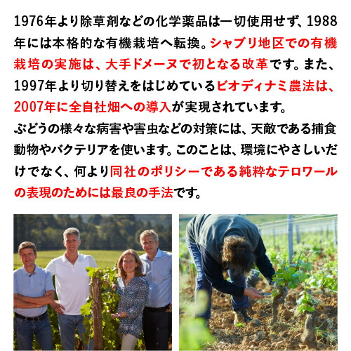画像ファイル