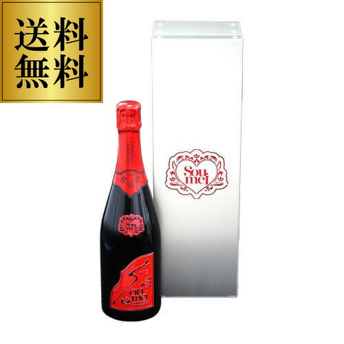 ソウメイレッド Soumei（ソウメイ） レッド ミレジメ 2015 750ml 正規 箱