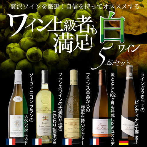 【40%OFF 12/7まで】ワインセット ワイン上級者も満足！白ワイン5本セット 10弾 浜運【送料無料】