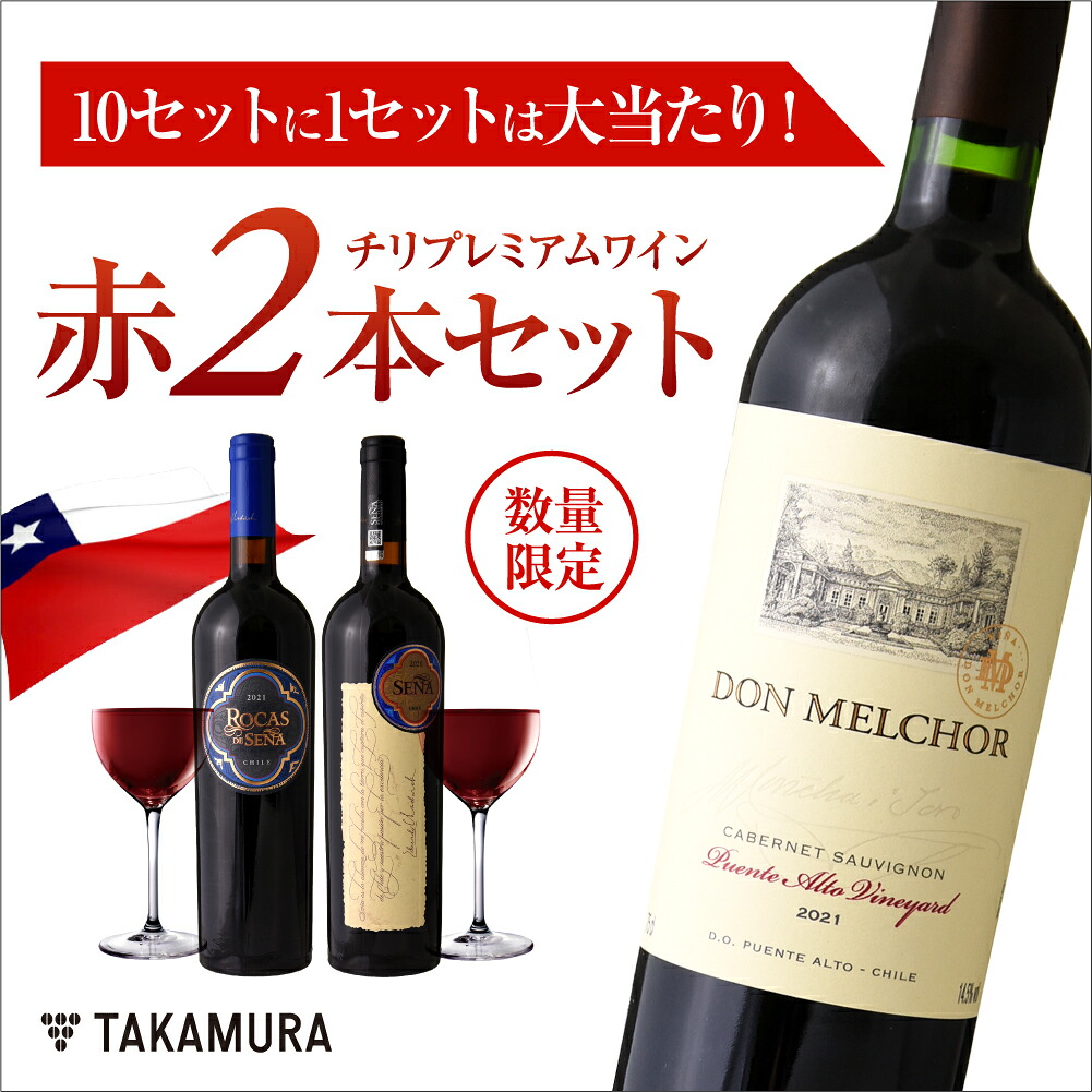 送料無料 お一人様1セットのご注文 10セットに1セットは大当たり！チリ プレミアムワインの世界を深掘りできる 2本 セット(追加10本同梱可) ワインセット ワイン [T]｜タカムラ ワイン ハウス
