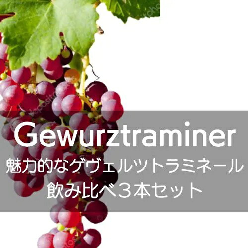 ゲヴェルツトラミネール飲み比べ３本セット【ワインセット】｜ワイン通販ワインホリック