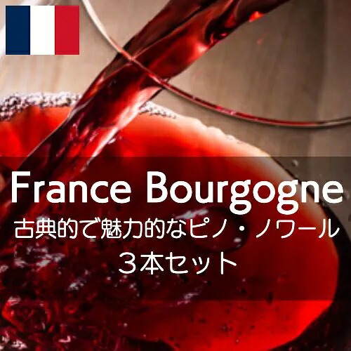 フランス・ブルゴーニュ・古典的で魅力的なピノ・ノワールを堪能する【ワインセット】|ワイン通販ワインホリック