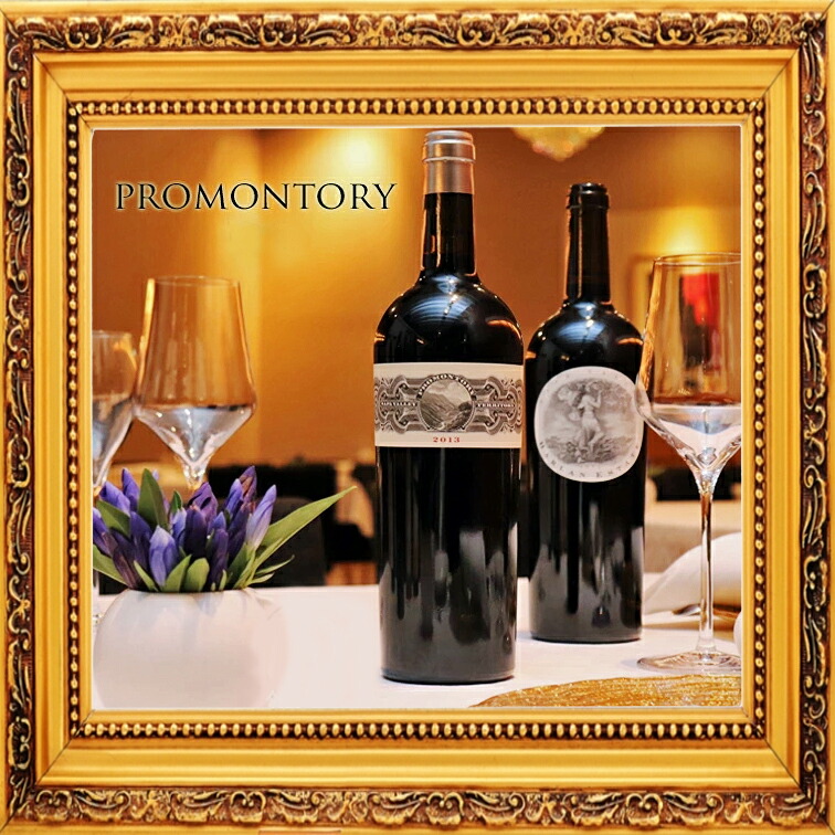 PROMONTORY Perfect conditionプロモントリー2014