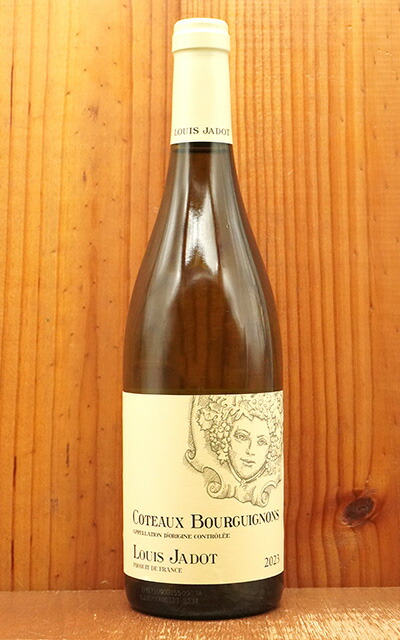 Louis Jadot Coteaux Bourguignons 6本セット Louis Jadot Coteaux Bourguignons 6本セット