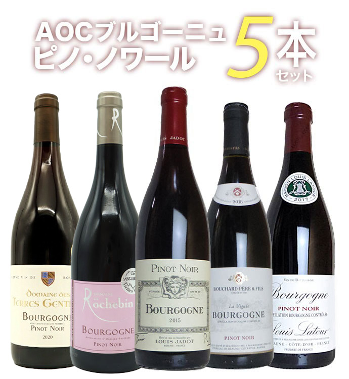 ブルゴーニュ赤ワイン　2本セット ヴェルヴィーノ / ブルゴーニュ 955ml（1個 / 2個セット