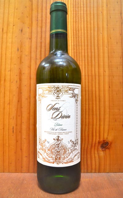 ■注目! ヴュー パープ フランス 白 750ml 12％６本セット Y4 フランス 白 nyrs □注目! ヴュー パープ フランス 白 750ml 12％６本セット Y1 フランス