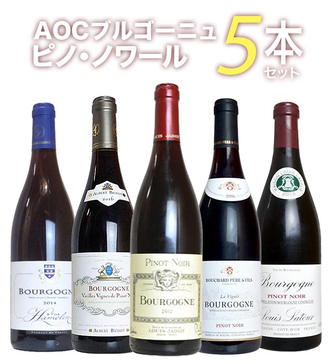 【第1弾】ピノ愛好家大注目！AOCブルゴーニュ ピノ ノワール5本飲み比べセット 有名メゾンも含むピノ ノワール(ブルゴーニュ ルージュ)飲み比べBourgogne Pinot Noir 5 SET