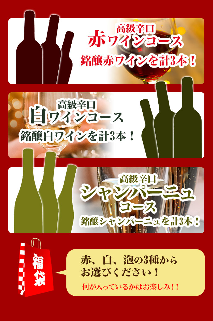 楽天市場 送料無料 毎月1日のみの超限定販売 うきうきワインの玉手箱渾身1万円福袋 辛口赤コース 辛口白コース 辛口シャンパーニュコースの3種類販売 ワインセット 赤ワイン 白ワイン シャンパーニュ スパークリング 泡 うきうきワインの玉手箱
