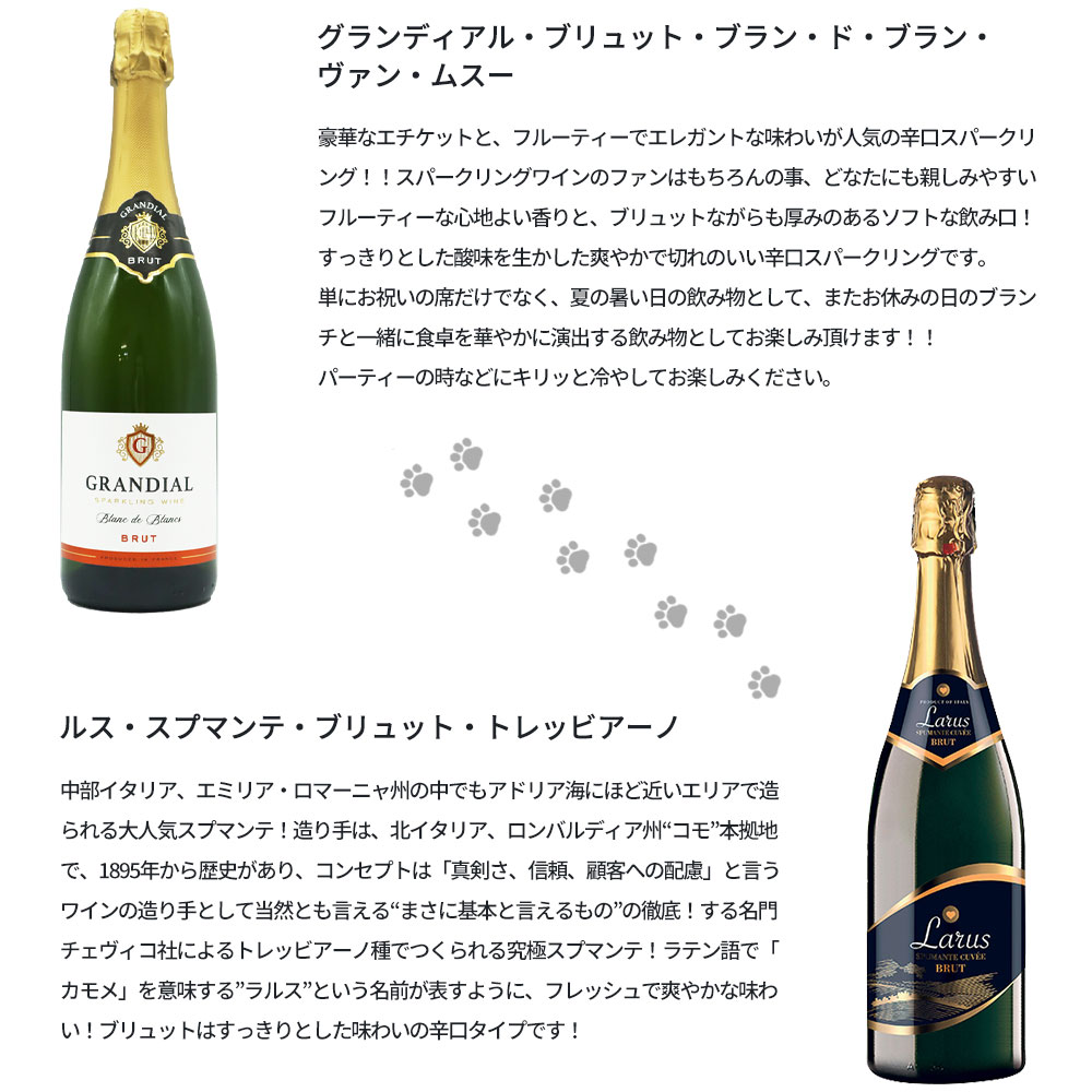 うきたまシリーズ スパークリング12本 ワインセット シャンパン スパークリングワイン 泡 辛口 瓶内二次発酵 カヴァ クレマンTAMATEBAKO UKITAMA  12 Botolles Set 飲み比べセット