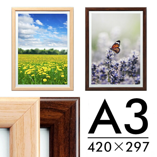 Amazon.com - Golden State Art, 11x17.5 Black Diploma Frame