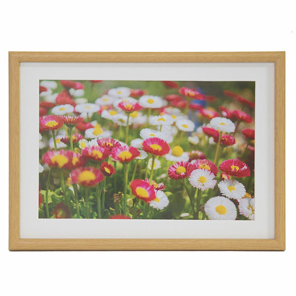 楽天市場】【受発注品】フジカラー FUJICOLOR 木製額縁 M21 ブラウン 6