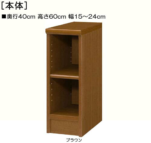 本箱 高さ６０ｃｍ幅１５～２４ｃｍ奥行４０ｃｍ 作品シェルフ 図書コーナー本棚 コーナースペースに 標準棚板収納 本箱 本棚 幅 20 cm 横幅 指定
