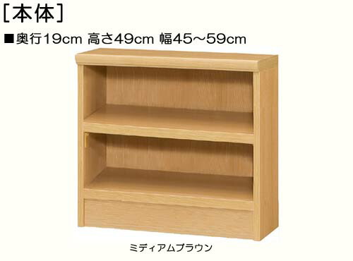 子供用本棚 高さ４９ｃｍ幅４５～５９ｃｍ奥行１９ｃｍ厚棚板（棚板厚み2.5cm） ゲームソフト収納 集会所ラック 幅を1cm単位でご指定 たゆみにくい棚板シェルフ 子供用本棚 本棚 幅 55 cm 横幅 指定