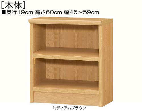カウンター下収納 高さ６０ｃｍ幅４５～５９ｃｍ奥行１９ｃｍ厚棚板（棚板厚み2.5cm）参考書ディスプレイ デスク周りラック 幅1cm単位でオーダー タフ棚板棚 カウンター下収納 本棚 幅 53 cm 寸法 指定｜eモノショップ