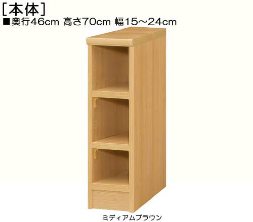 隙間収納 高さ７０ｃｍ幅１５～２４ｃｍ奥行４６ｃｍ厚棚板（棚板厚み2.5cm） 書籍収納 サニタリラック 幅15cmも無駄にしません たゆみにくい棚板シェルフ 隙間収納 本棚 幅 20 cm 横幅 指定