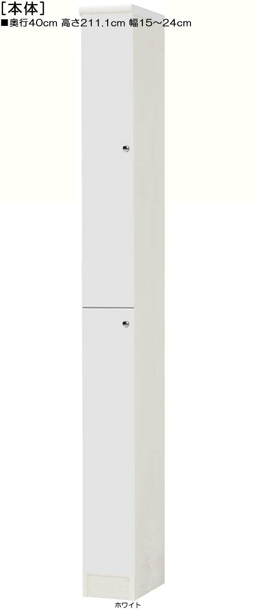 全面扉全面扉付き添い人か細い納める 高さ２１１．１ｃｍ幅１５～２４ｃｍ奥ぶかさ４０ｃｍ 上下共片開き(左食い違い/右食い違い) 全面扉付練習曲御部屋調度品 取り片づける棚 幅 21 糎 横幅 申しつける
