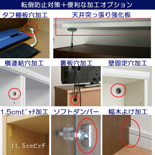 木製収納 全面扉本棚 カウンター下収納 スリム収納 G3 オーダー本棚 コミック オーダー 本などの収納に 簡単リフォーム 業務用 全面扉本棚 耐荷重書庫 奥行19cm高さ8 217cm幅71 80cm タフ棚板 厚さ2 5cm 耐震対策収納 Eモノショップ 薄型本棚 全面扉本棚 薄型