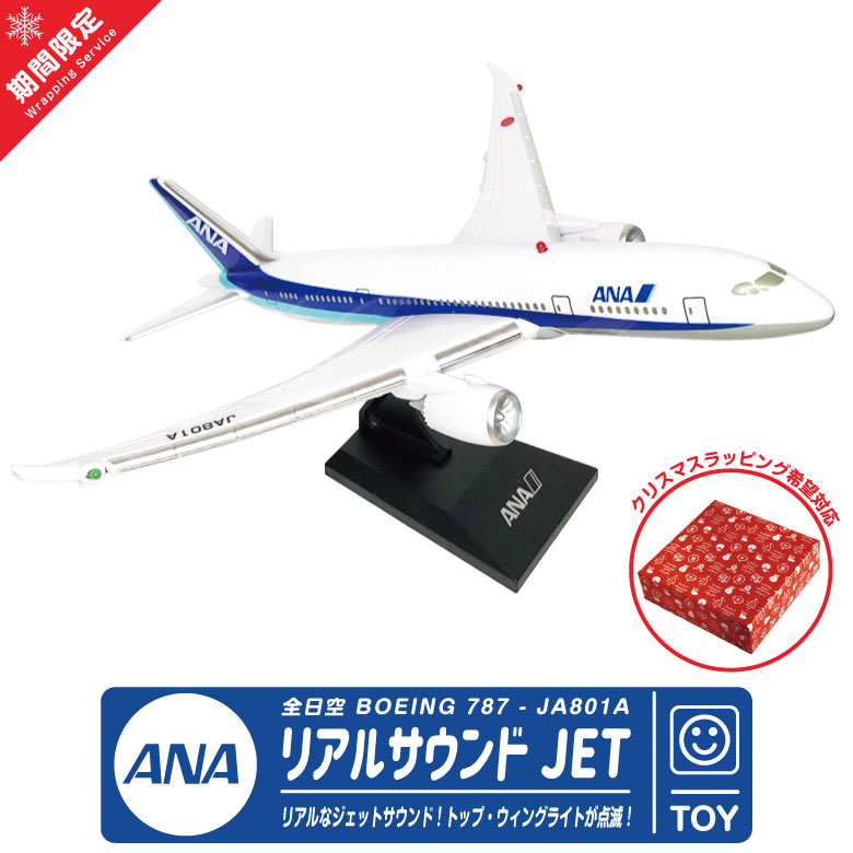 jp-ana-rs-01-cri-02.jpg