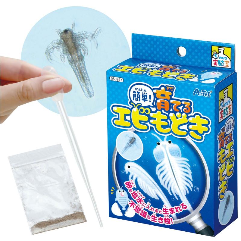 楽天市場】アーテック 簡単！育てるエビモドキ 55943 : イーヅカ