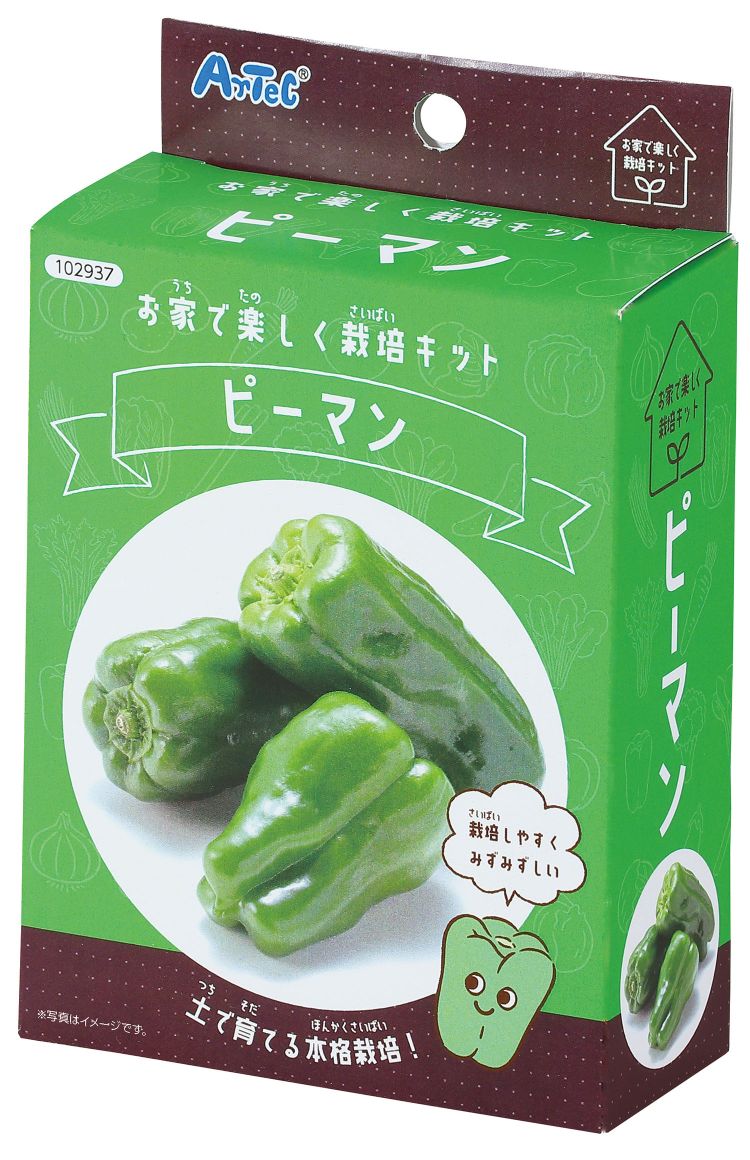 楽天市場】栽培セット ピーマン 支柱付き ピーマン DCM DCM 栽培 栽培