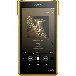 SONY　デジタルオーディオプレーヤー　NW-WM1ZM2 [256GB]｜ウインクデジタル　店