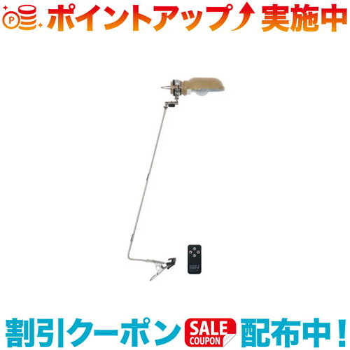 必見！初めてのファミリーキャンプガイド