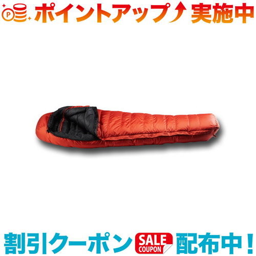 必見！初めてのファミリーキャンプガイド