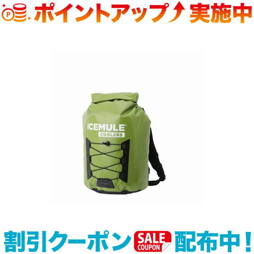 必見！初めてのファミリーキャンプガイド