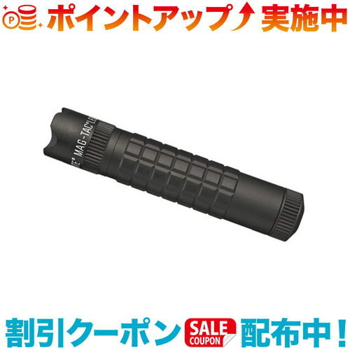 必見！初めてのファミリーキャンプガイド