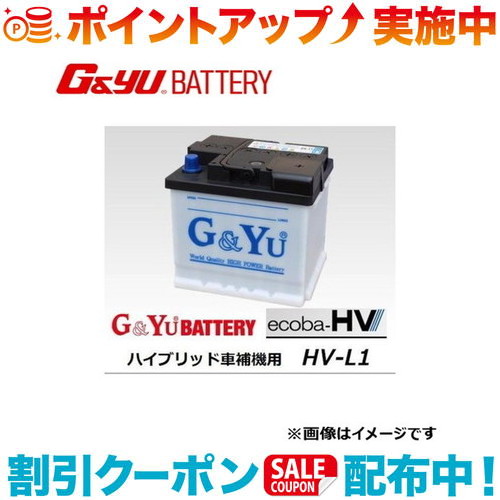 楽天市場】クーポン配布中☆(G&Yu) ecoba HVシリーズ 液式タイプ