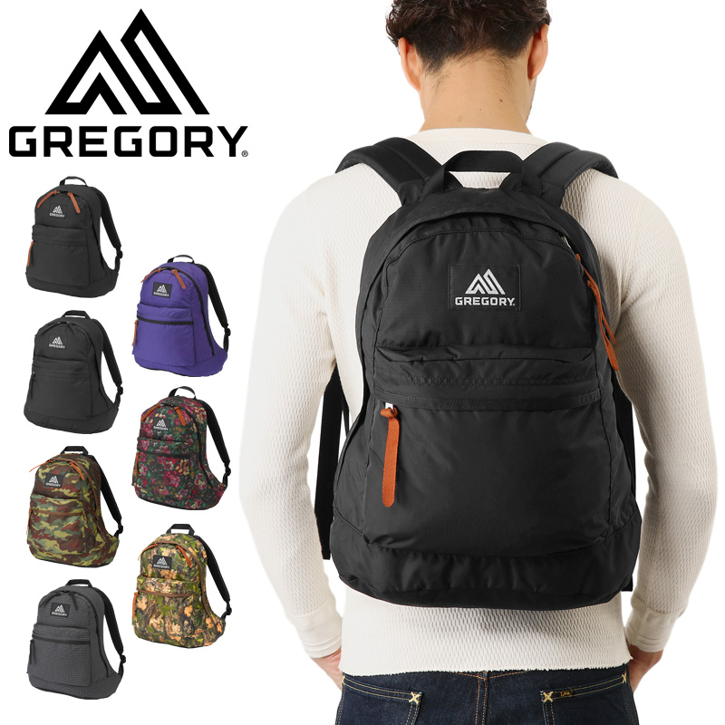 gregory easy day backpack