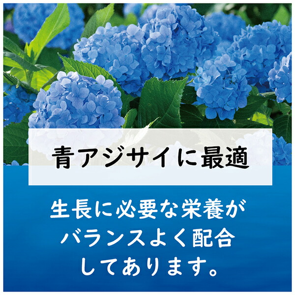 楽天市場 東商 肥料 青アジサイの肥料 500g ワイズライフ