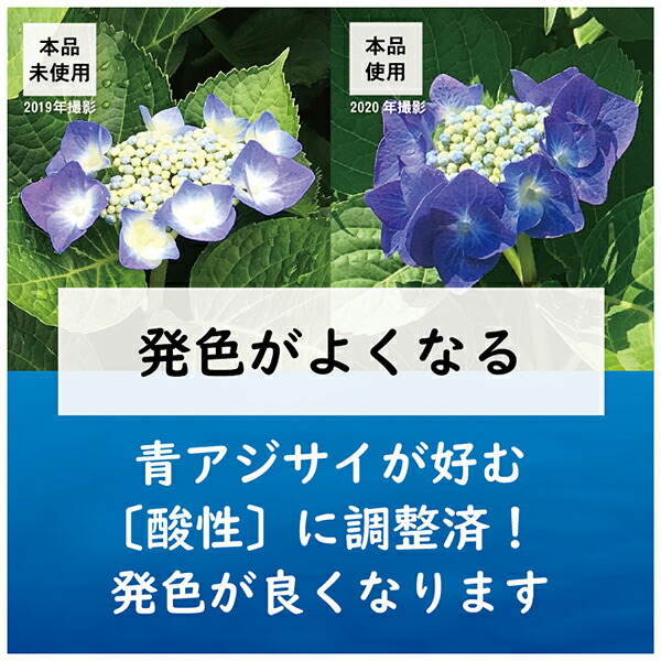 楽天市場 東商 肥料 青アジサイの肥料 500g ワイズライフ