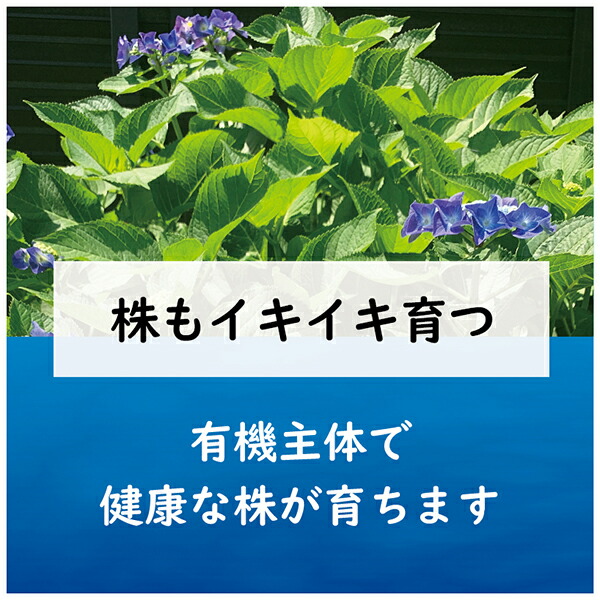 楽天市場 東商 肥料 青アジサイの肥料 500g ワイズライフ