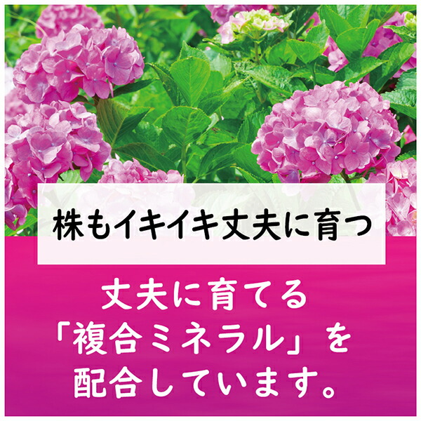 楽天市場 東商 肥料 赤アジサイの肥料 500g ワイズライフ