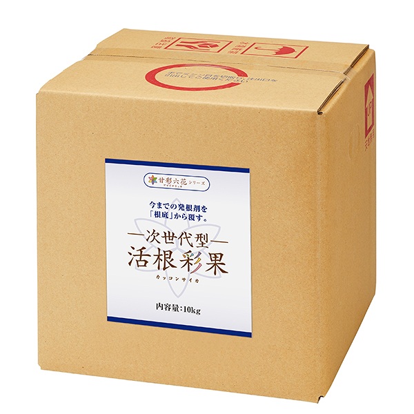 百貨店SALE 当店客体商いもののご引き合わせる