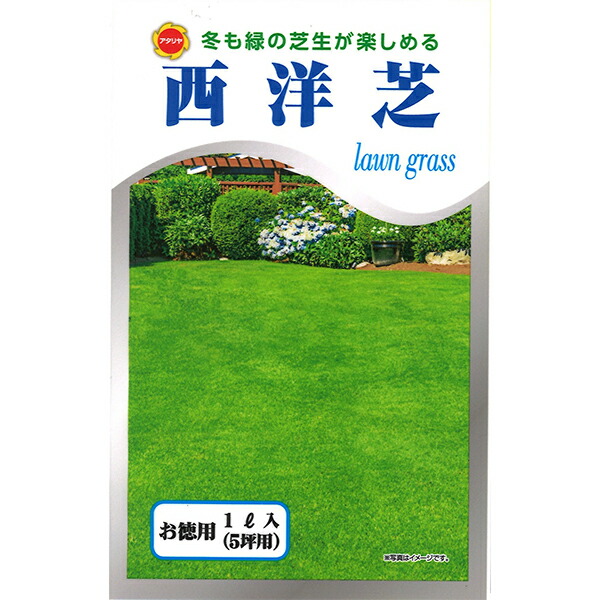 楽天市場】まとめ買い 2袋入 しろクローバー フィア 0.5kg タキイ種苗 ホワイトクローバー タネのタキイ 芝種 送料無料 M1 : ワイズライフ