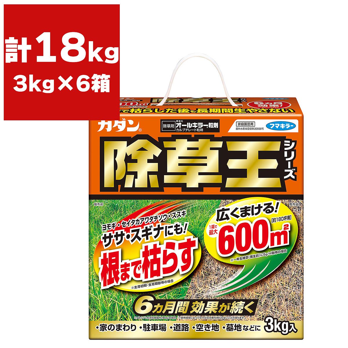 百貨店SALE 当店客体商いもののご引き合わせる